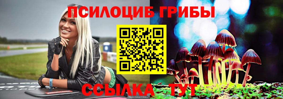 Галлюциногенные грибы мицелий Углич