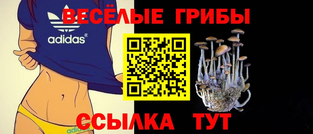 Углич  Псилоцибиновые грибы ЛСД  Вход с VPN 